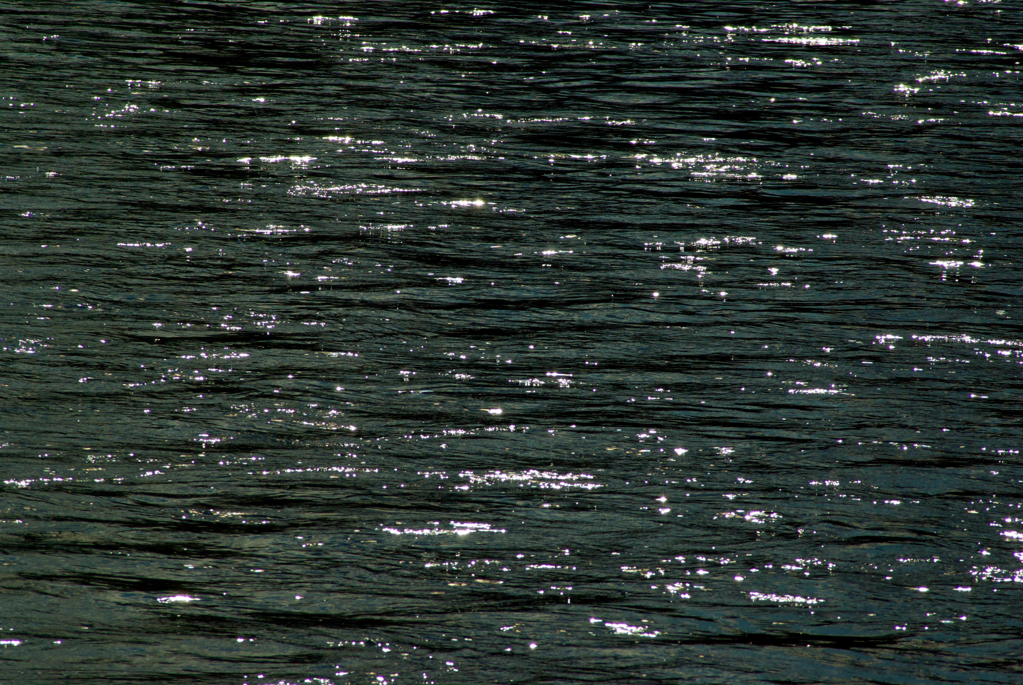 Photographyproject Sub